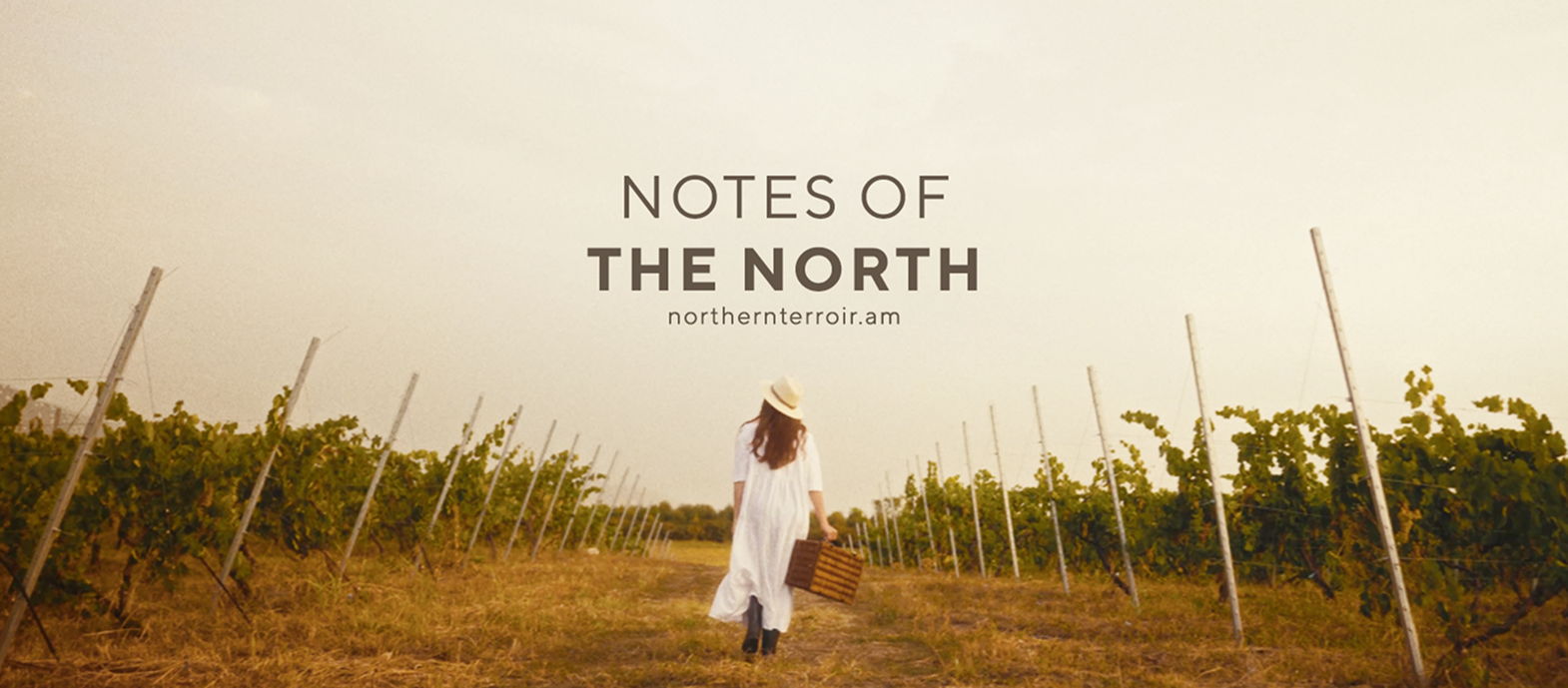 cover photo nt september